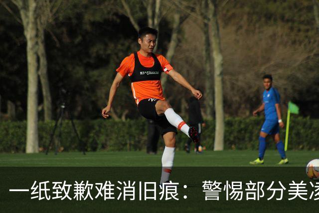 一纸致歉难消旧痕：警惕部分美凌格习惯了的选择性遗忘