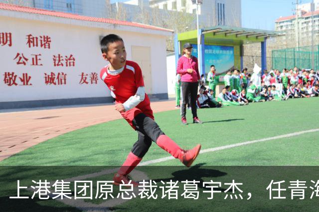 上港集团原总裁诸葛宇杰，任青海省政府党组书记