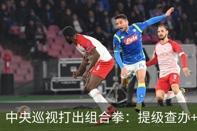 中央巡视打出组合拳：提级查办+深挖保护伞，查到线索再也瞒不住