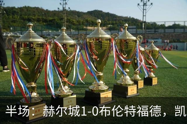 半场：赫尔城1-0布伦特福德，凯莱赫低级失误，麦克布涅点射