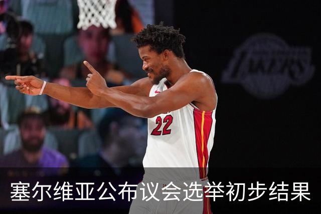 塞尔维亚公布议会选举初步结果