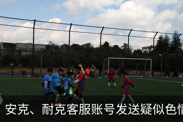 安克、耐克客服账号发送疑似色情引流信息，客服称已收到多起反馈，正紧急排查