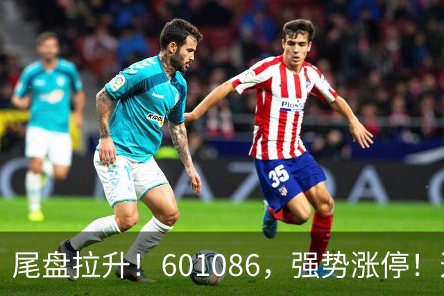 尾盘拉升！601086，强势涨停！这一板块逆市爆发