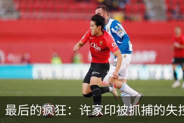最后的疯狂：许家印被抓捕的失控三秒钟，简直是惊心动魄
