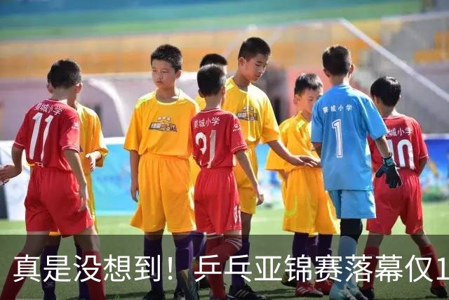真是没想到！乒乓亚锦赛落幕仅1天，29岁樊振东高调官宣新身份，原来他早已给自己找好了退路！网友热泪盈眶：太清醒