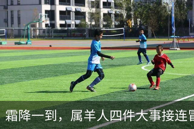 霜降一到，属羊人四件大事接连冒头，第二件最出人意料！