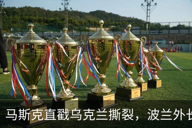 马斯克直戳乌克兰撕裂，波兰外长鸡贼回应